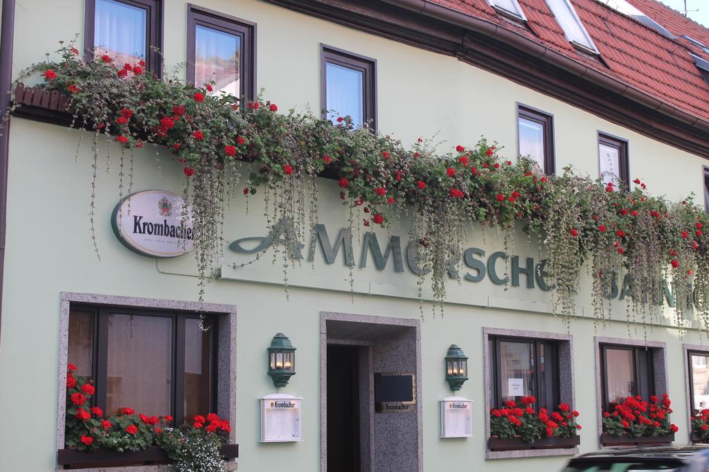 Hotel Ammerscher Bahnhof Mühlhausen Exterior foto